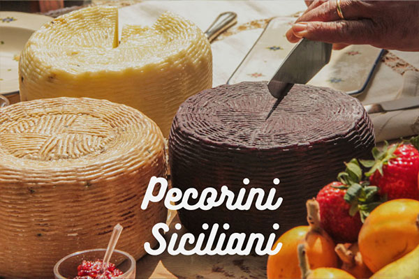 Specialit&agrave; Pecorino
